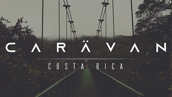 cartelalow_2
